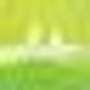 Evolution Fresh logo