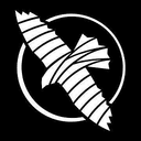 Hayabusa logo