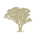 Jackson Estate logo