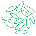 Mizkan Americas logo