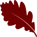 Oakcraft logo