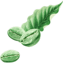 Fountain of Truth Beauty logo