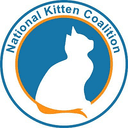 Kitten logo
