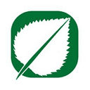 Leaf logo