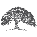 Live Oak Contracting logo