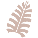 Maui Moisture logo