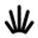 Niobe logo