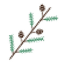 Nurtur Health, Inc. logo
