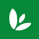Ortho logo