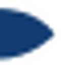 Panadol logo